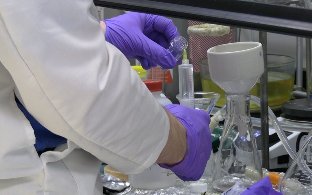 Company Spotlight: Design-Zyme LLC