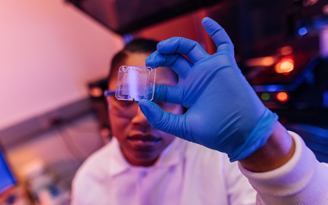 University of Kansas drives $7.8 billion economic impact in Kansas, study shows