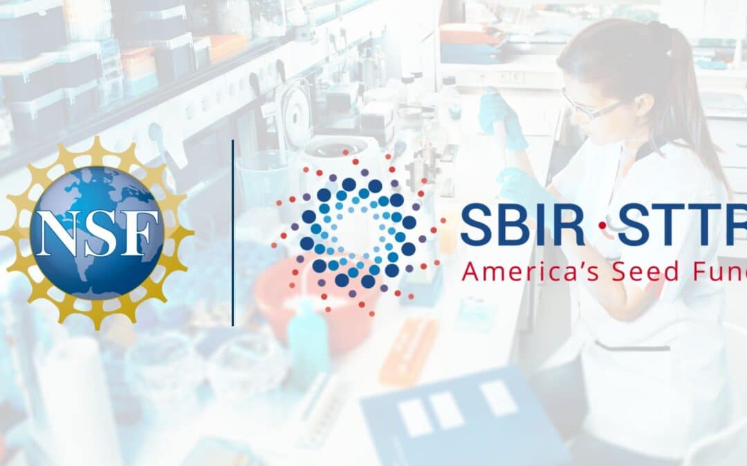 NSF SBIR/STTR funding is back: what founders need to know